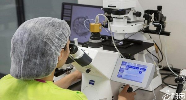 PGD/PGS技术是什么