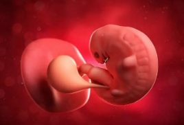 冻融囊胚移植前HCG宫腔灌注对IVF-ET反复种植失败患者妊娠结局有什么影响