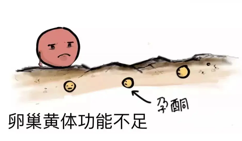黄体期功能不足是什么意思？