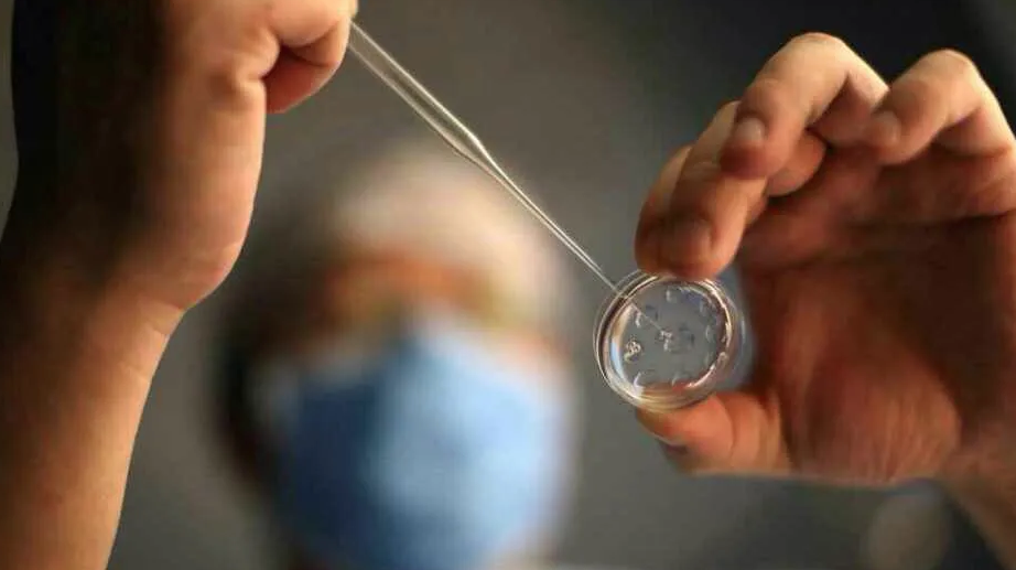 什么是宫腔内人工授精（IUI）？