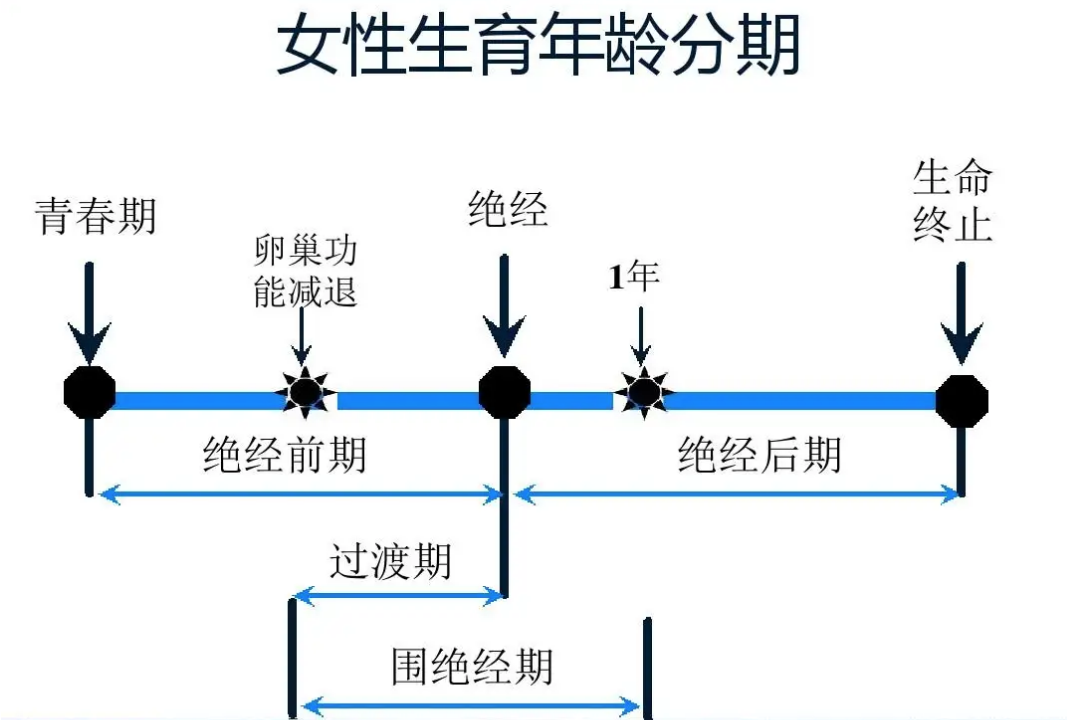 什么是围绝经期？
