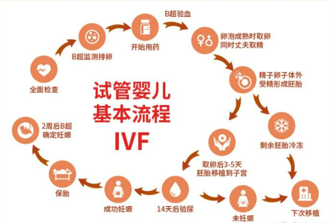 试管婴儿流程是怎样的？