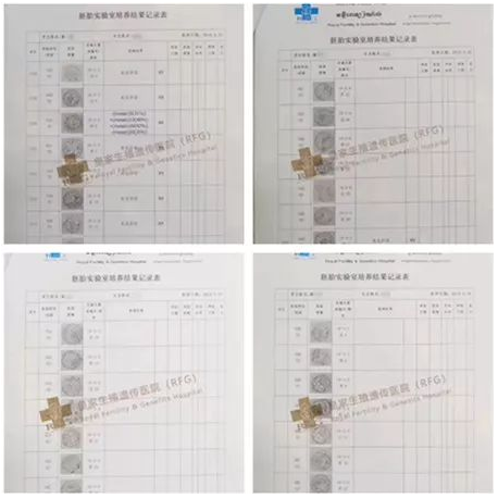 试管之路漫长坎坷？看看这些一次成功的家庭吧