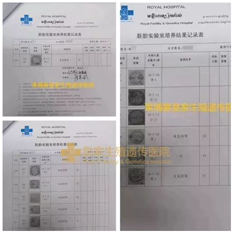 试管之路漫长坎坷？看看这些一次成功的家庭吧