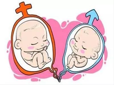 试管婴儿出生的男孩比较多吗？
