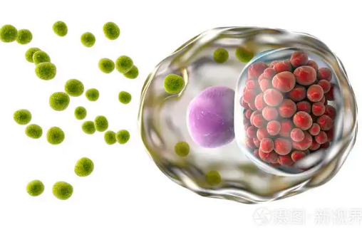 我怎么知道我是否患有衣原体？