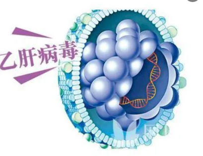 乙型肝炎的体征和症状是什么？