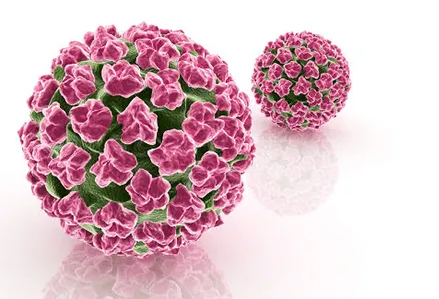 如果患有高危HPV，会患上癌症吗？