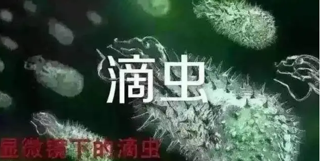 滴虫病的症状是什么？