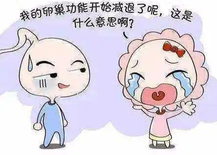 什么是卵巢储备测试（2）？