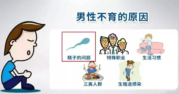 男性不育怎么诊断？