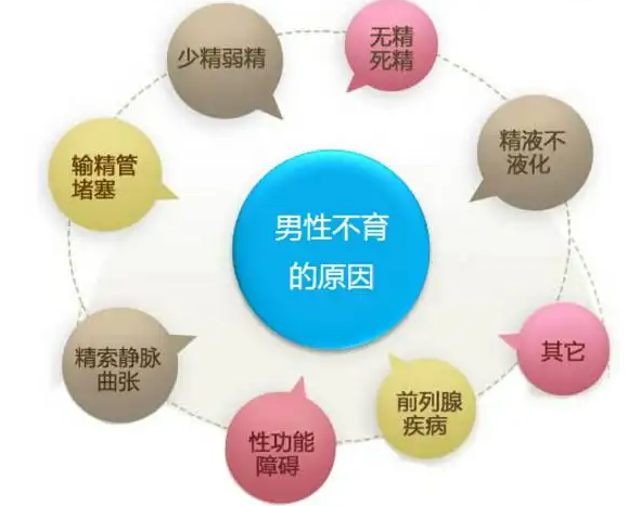 男性不育的主要原因有哪些？