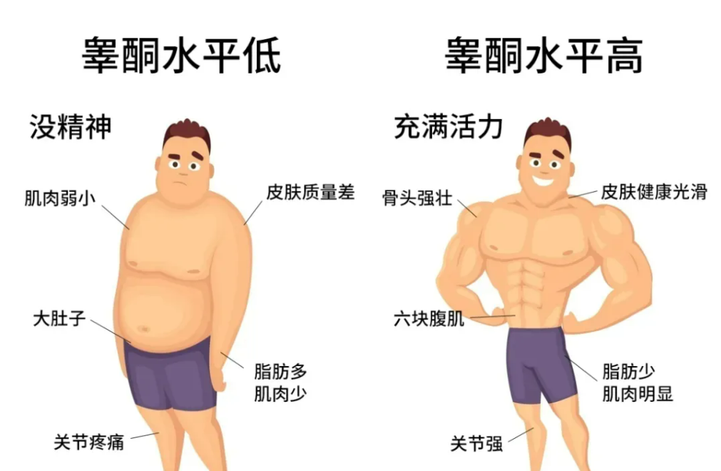 男性低睾酮的迹象是什么？