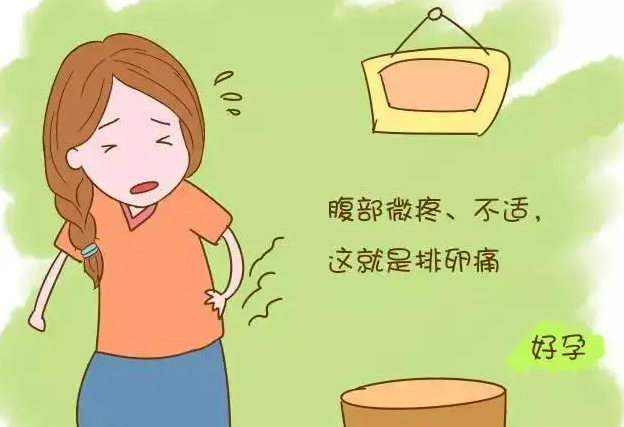 排卵是什么感觉？