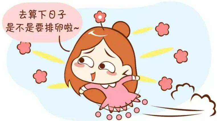 什么是排卵和怀孕计划？