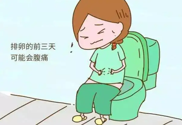 为什么会出现排卵痛？