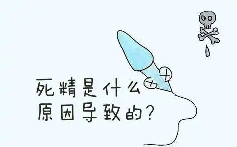 造成死精症的原因以及怎样治疗?