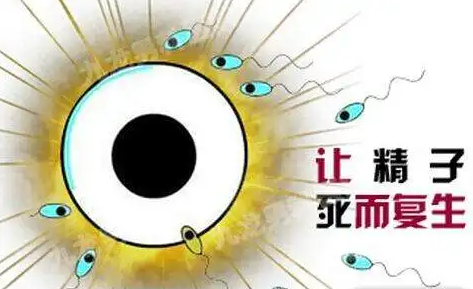 什么是死精症？