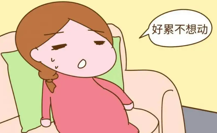 饮食、锻炼对怀孕有什么影响？