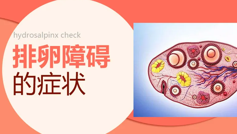 无排卵和排卵功能障碍如何诊断？