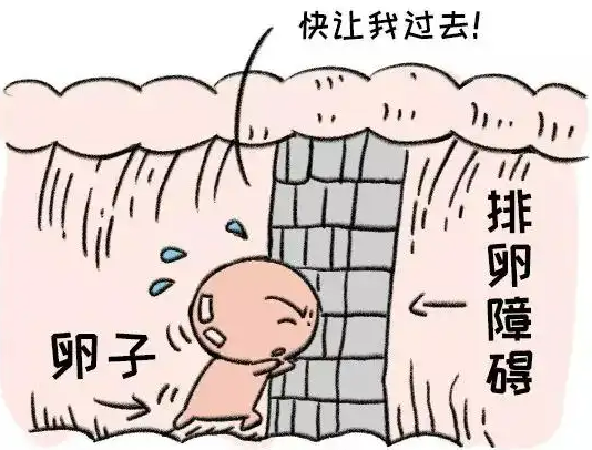 无排卵和排卵功能障碍怎么治疗？