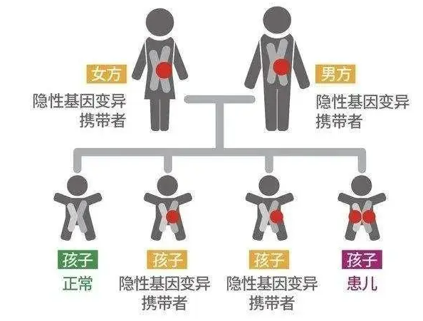 怀孕中怎样判断是否需要进行遗传咨询？