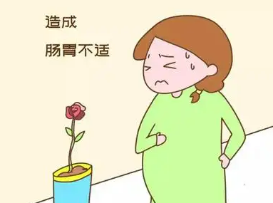 什么是孕期肠胃不适？
