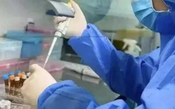 什么是载体筛查？