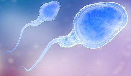 增加精子数量和提高生育能力有哪些方法？
