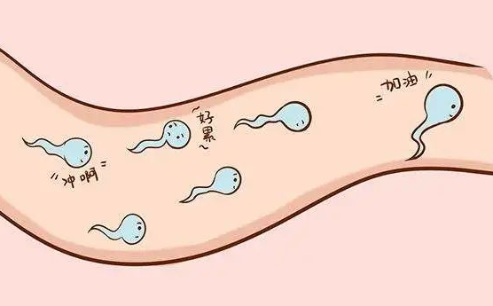 究竟什么是无精子症？