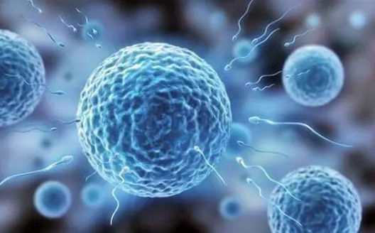 非阻塞性无精子症是什么原因？