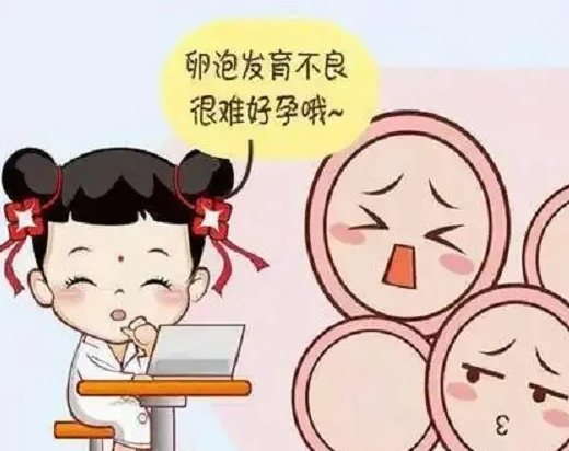 究竟什么是窦卵泡？