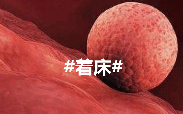 解密：植入性痉挛有多常见？