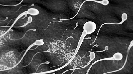 坏死精子症如何治疗？