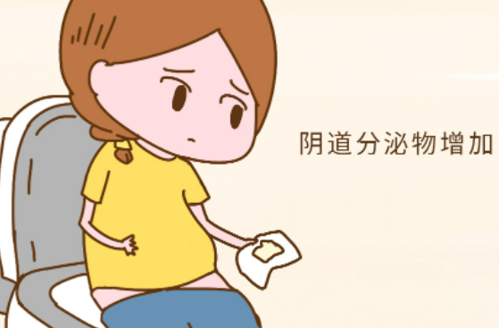阴道分泌物的常见病因是什么？