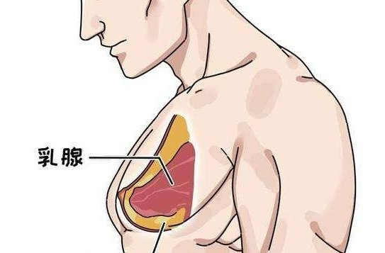 乳腺癌如何治疗？（2）