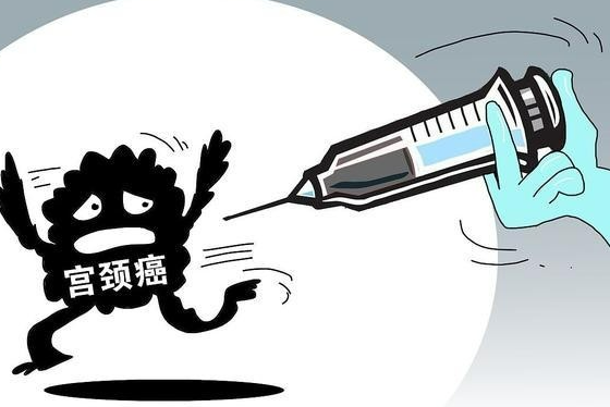 什么是宫颈癌？（详解）