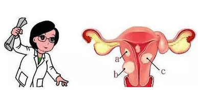 葡萄胎妊娠如何诊断？
