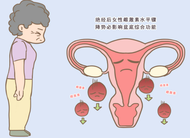 什么是绝经？