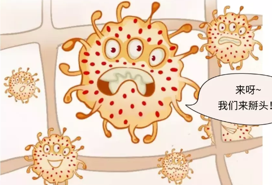 阴道酵母菌感染如何治疗？
