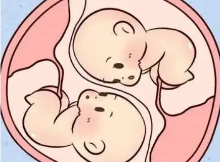 多胎妊娠有哪些危险性？