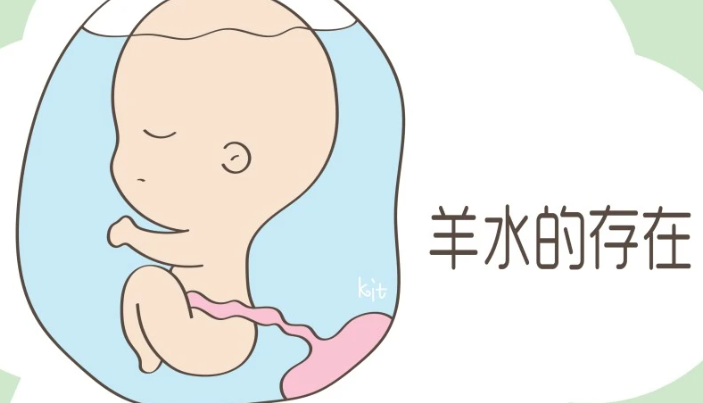 和羊水相关的问题有哪些？