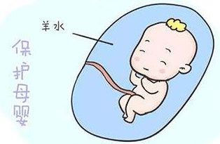 羊膜腔感染如何诊断？