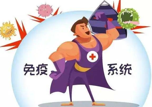 什么是妊娠性类天疱疮？