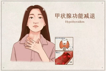 甲亢、甲减可以试管备孕吗
