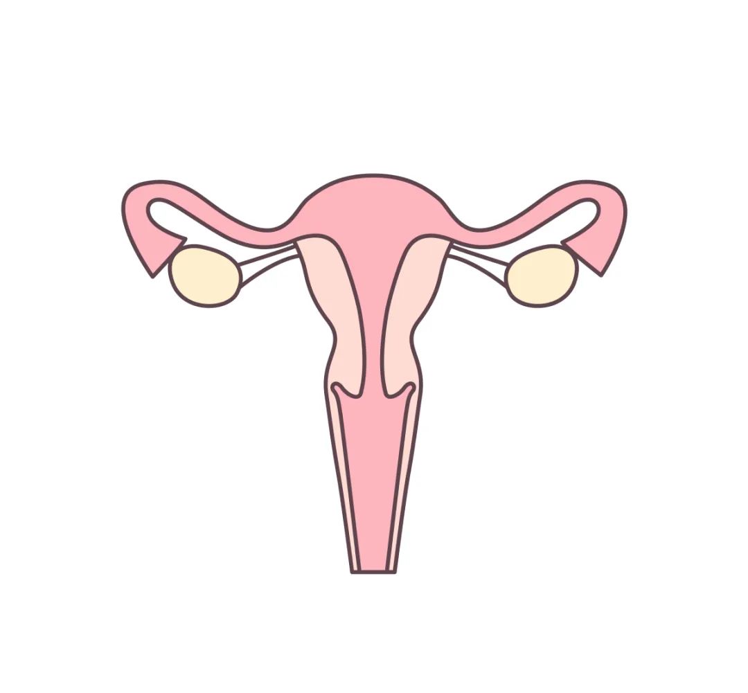做试管婴儿，对女性子宫有哪些要求？