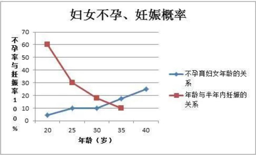 影响试管婴儿成功率的几大因素
