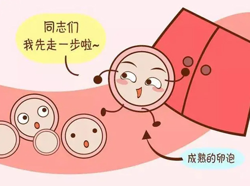 做试管为什么促排方案都不一样？