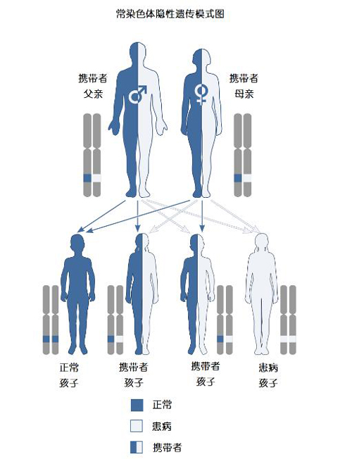 关爱“失去颜色的天使”