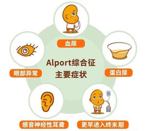 罕见病之“Alport综合征”